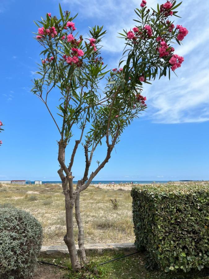 Apartment Beautiful 1 Minute Walk To The